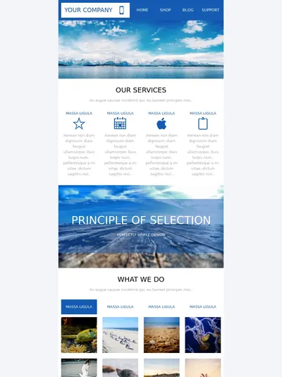 Clean B2B responsive newsletter email template