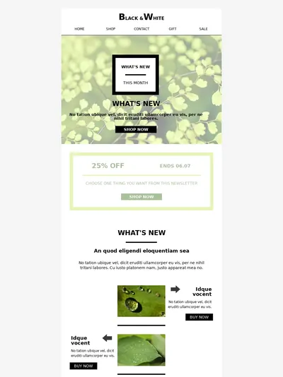 Spring seasonal promotional newsletter email template